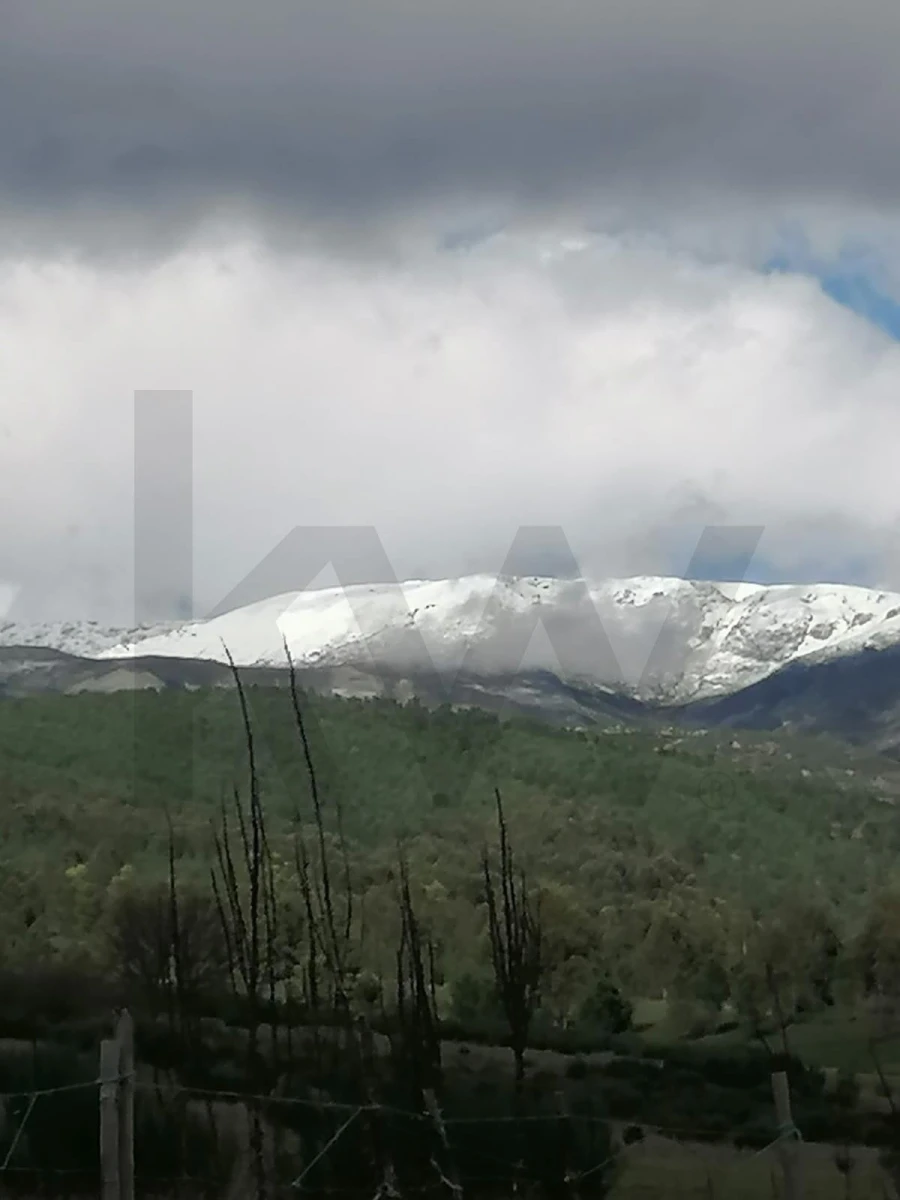 Terreno para Venda em Paul Foto 35