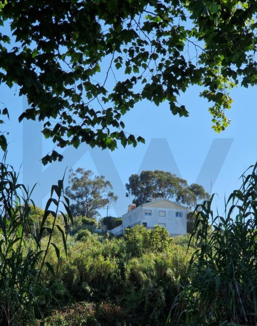 Terreno para Venda em Colares Foto 12