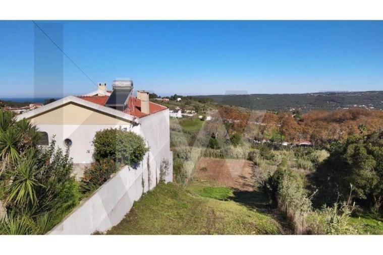 Terreno para Venda em Colares Foto 6