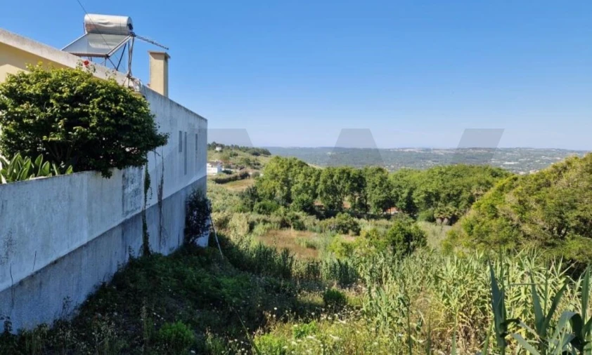 Terreno para Venda em Colares Foto 11