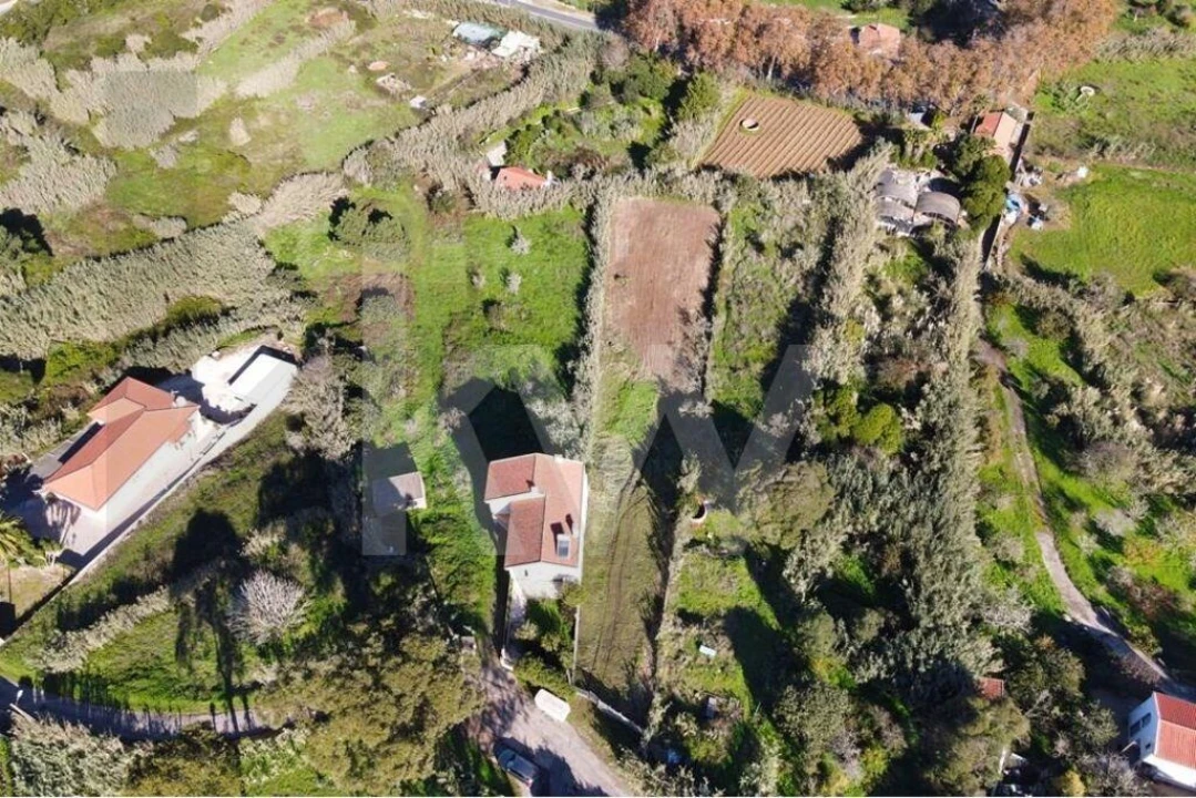 Terreno para Venda em Colares Foto 1