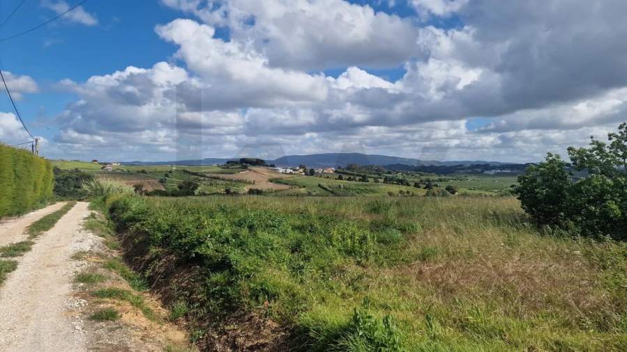 Terreno para Venda em Carvalhal Foto 12