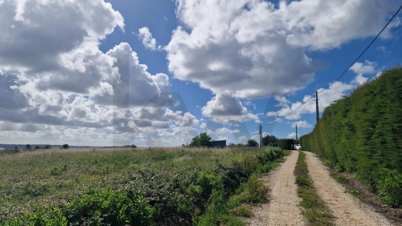 Terreno para Venda em Carvalhal Foto 11