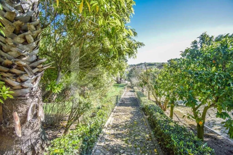 Quinta T11 para Venda em Azueira e Sobral da Abelheira Foto 17