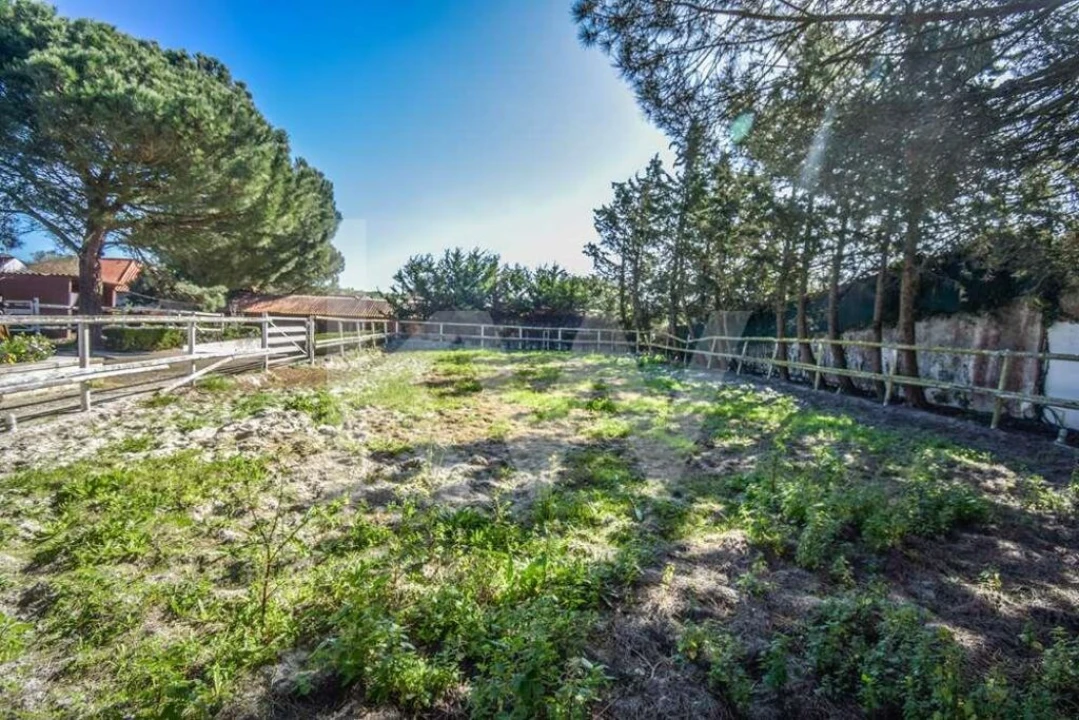 Quinta T11 para Venda em Azueira e Sobral da Abelheira Foto 42