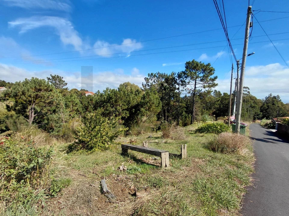 Terreno para Venda em Gaula Foto 2