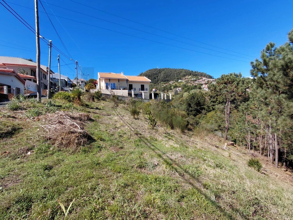 Terreno para Venda em Gaula Foto 5