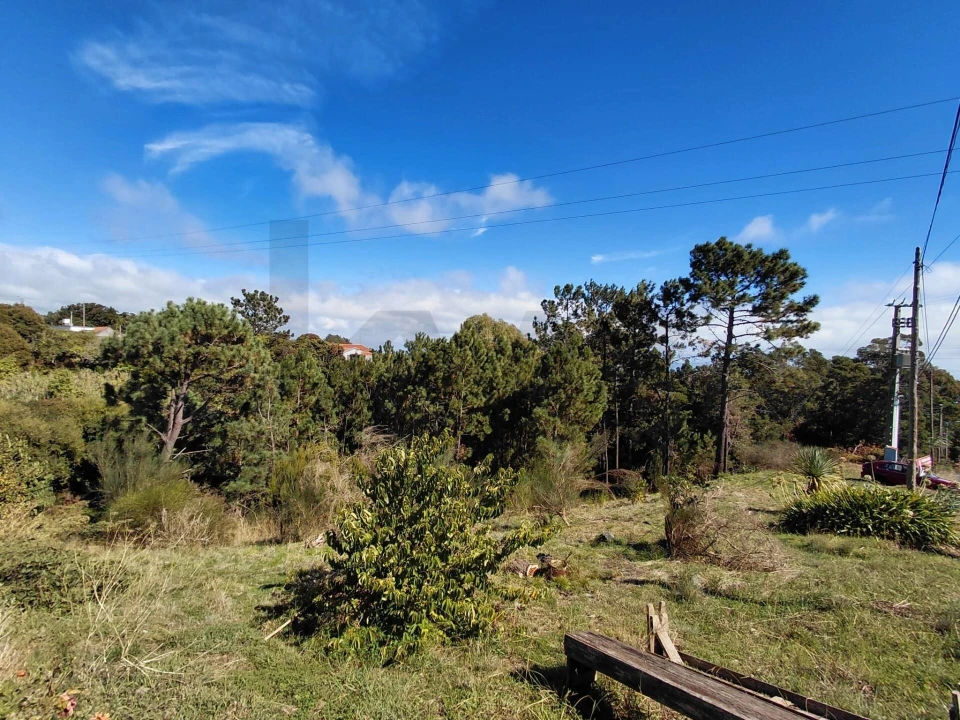 Terreno para Venda em Gaula Foto 8