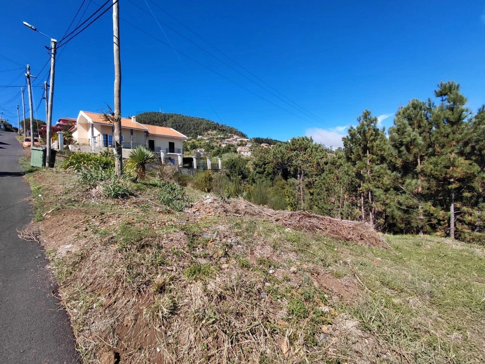 Terreno para Venda em Gaula Foto 3