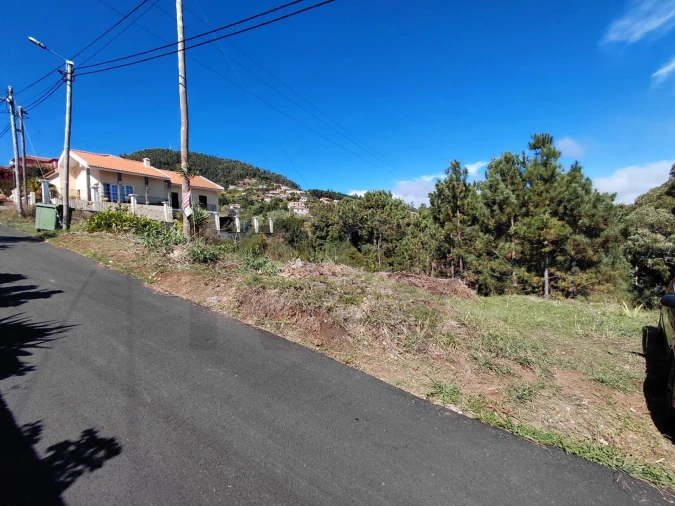 Terreno para Venda em Gaula Foto 4