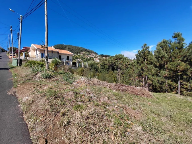 Terreno para Venda em Gaula Foto 3