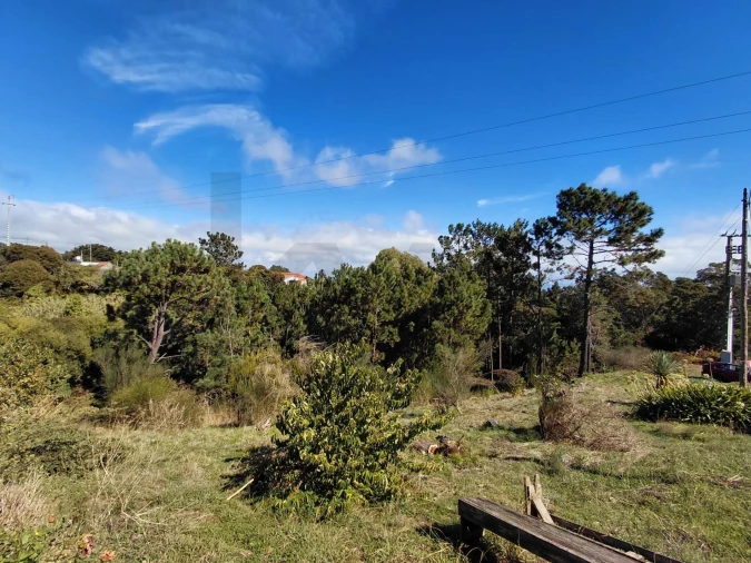 Terreno para Venda em Gaula Foto 6