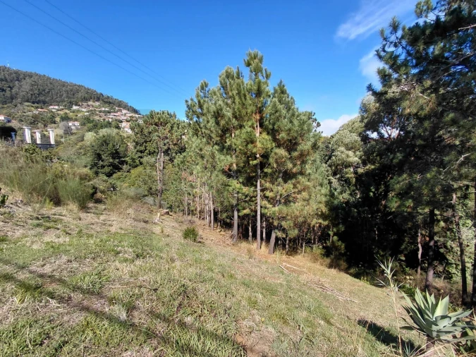 Terreno para Venda em Gaula Foto 7
