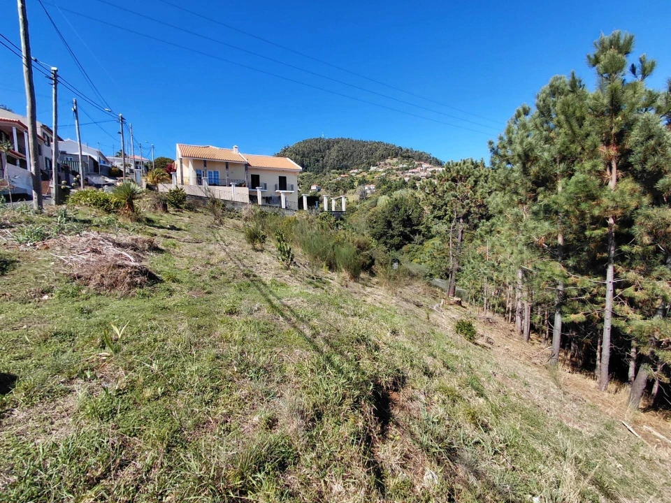 Terreno para Venda em Gaula Foto 1