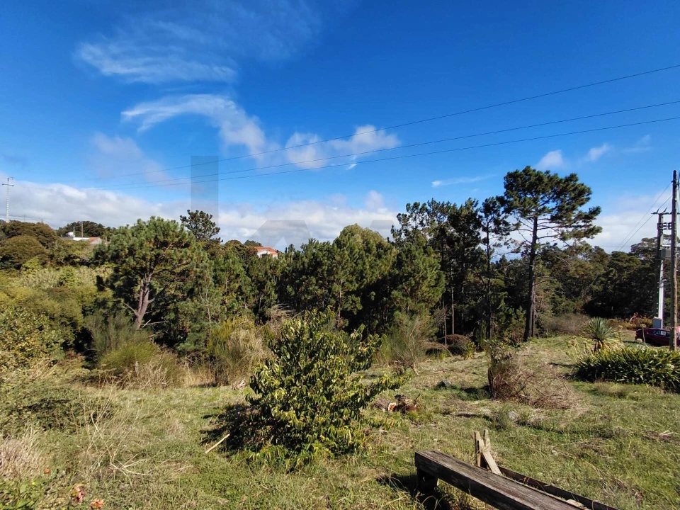 Terreno para Venda em Gaula Foto 6