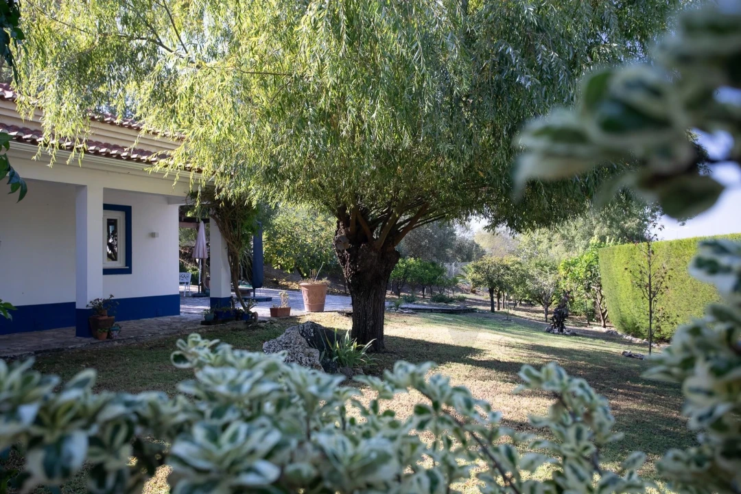 Moradia T3 para Venda em Malveira e São Miguel de Alcainça Foto 71