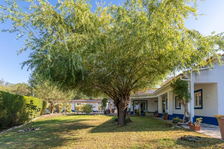 Moradia T3 para Venda em Malveira e São Miguel de Alcainça Foto 67