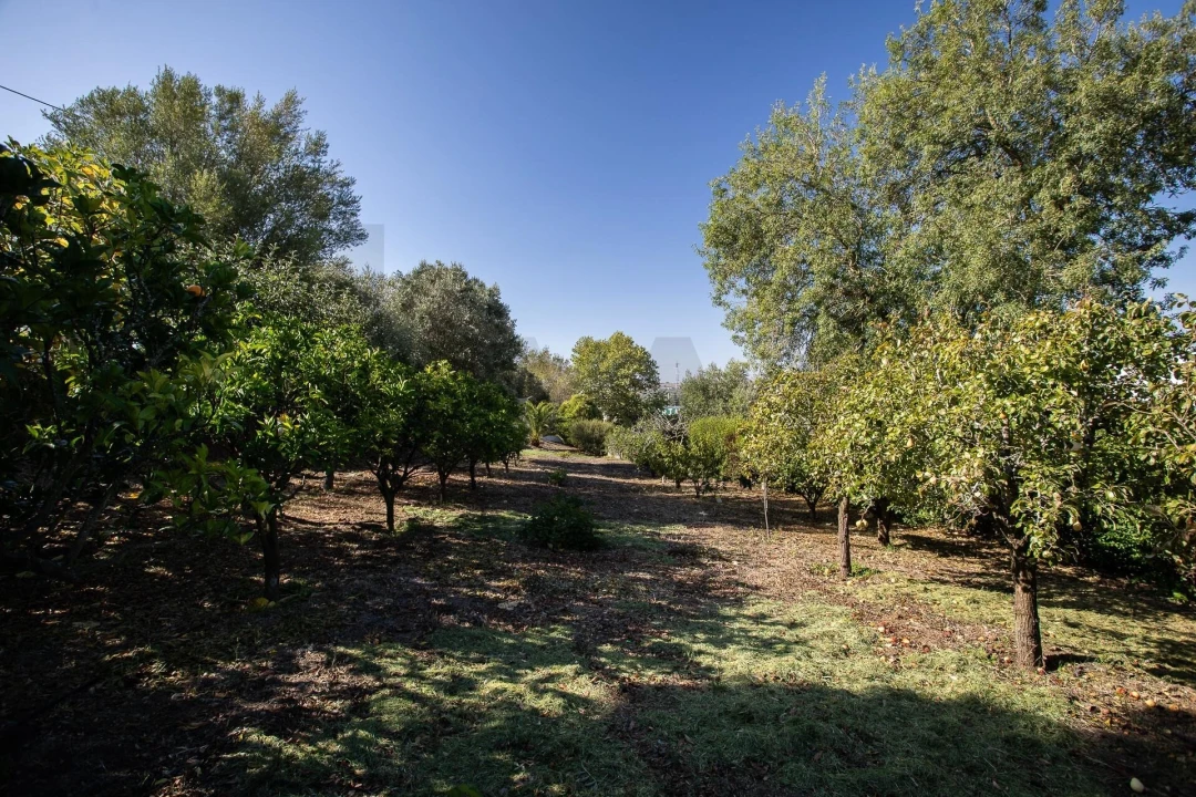 Moradia T3 para Venda em Malveira e São Miguel de Alcainça Foto 69