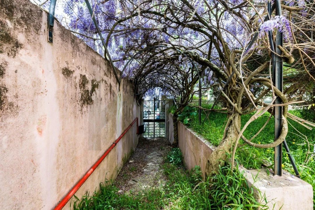 Prédio para Arrendamento em São Martinho do Bispo e Ribeira de Frades Foto 25