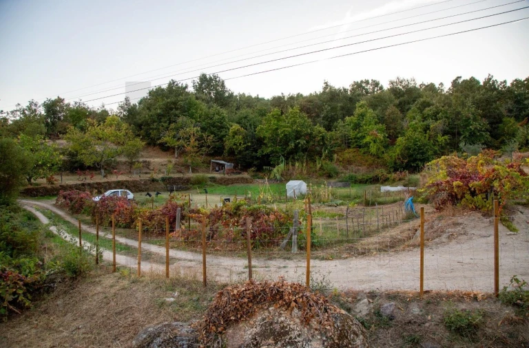 Terreno para Venda em Orjais Foto 10