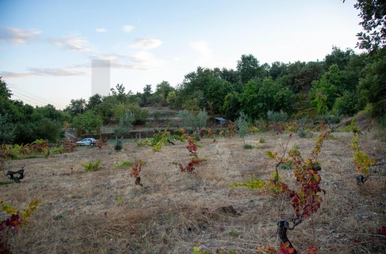 Terreno para Venda em Orjais Foto 7