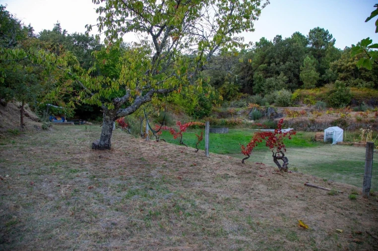 Terreno para Venda em Orjais Foto 11