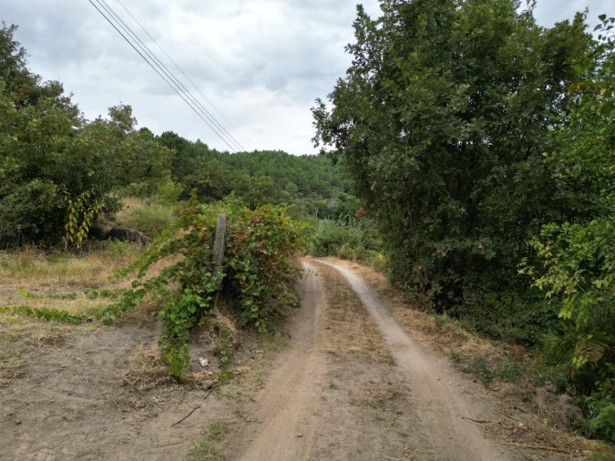 Terreno para Venda em Orjais