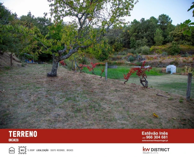 Terreno para Venda em Orjais Foto 4