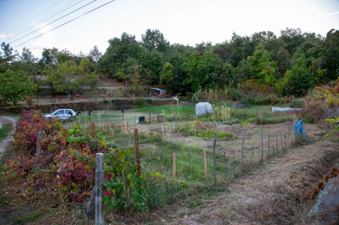 Terreno para Venda em Orjais Foto 8