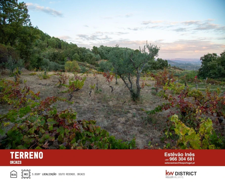 Terreno para Venda em Orjais Foto 10
