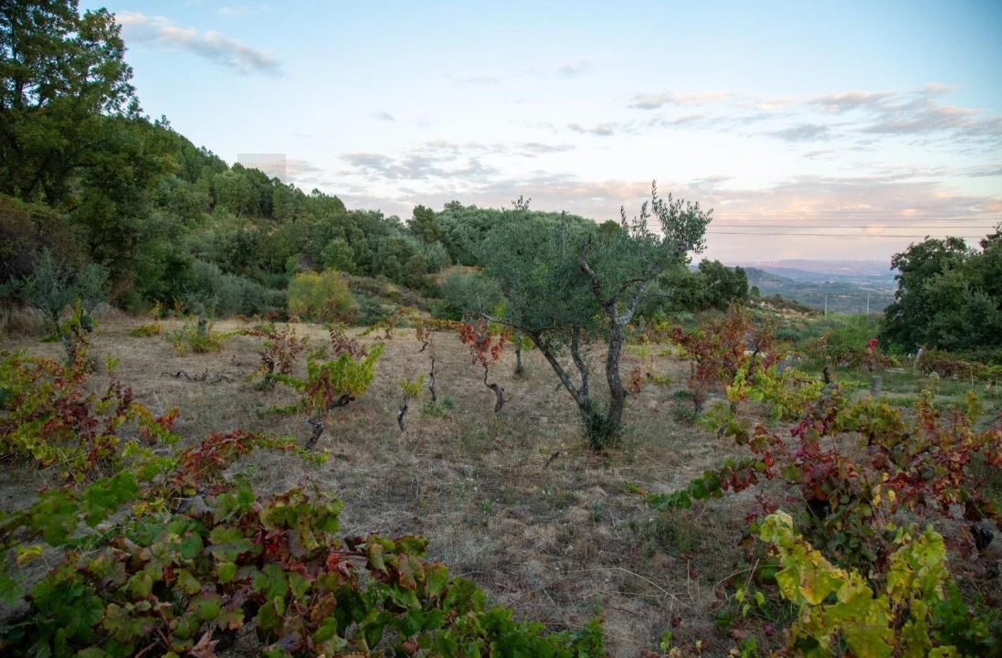Terreno para Venda em Orjais Foto 5