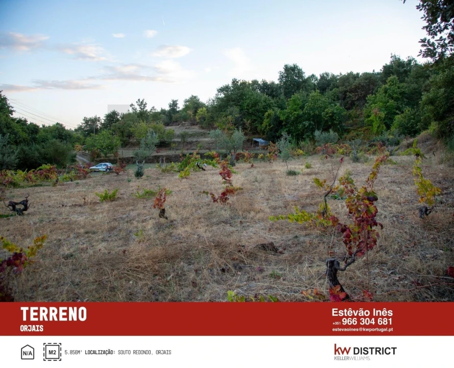 Terreno para Venda em Orjais Foto 7