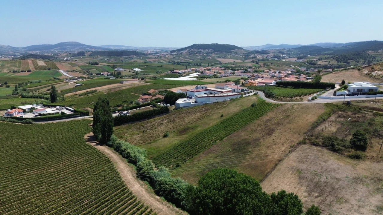 Terreno para Venda em Freiria Foto 2