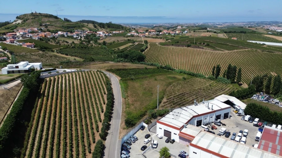 Terreno para Venda em Freiria Foto 10