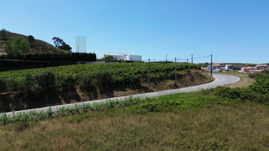 Terreno para Venda em Freiria Foto 6