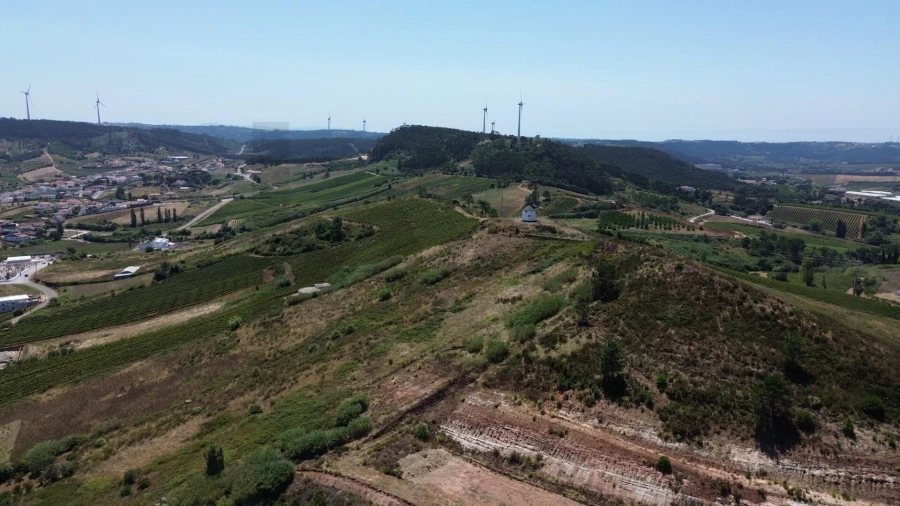 Terreno para Venda em Freiria Foto 14