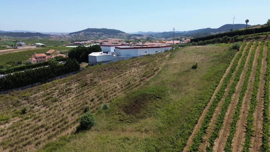 Terreno para Venda em Freiria Foto 3