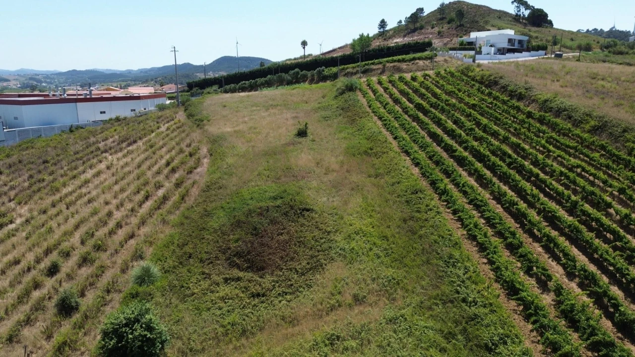 Terreno para Venda em Freiria Foto 4