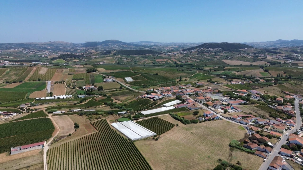 Terreno para Venda em Freiria Foto 12
