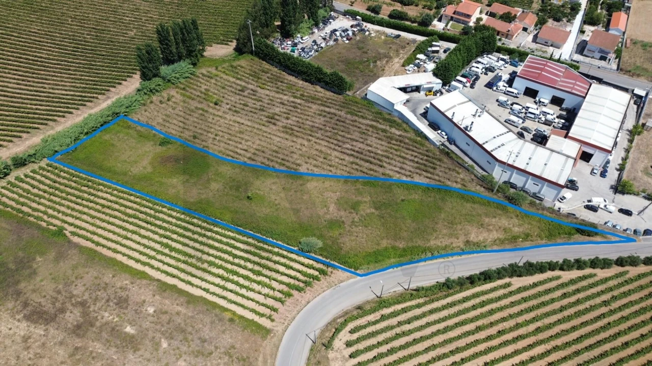 Terreno para Venda em Freiria Foto 17