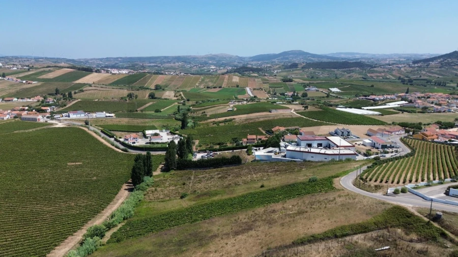 Terreno para Venda em Freiria