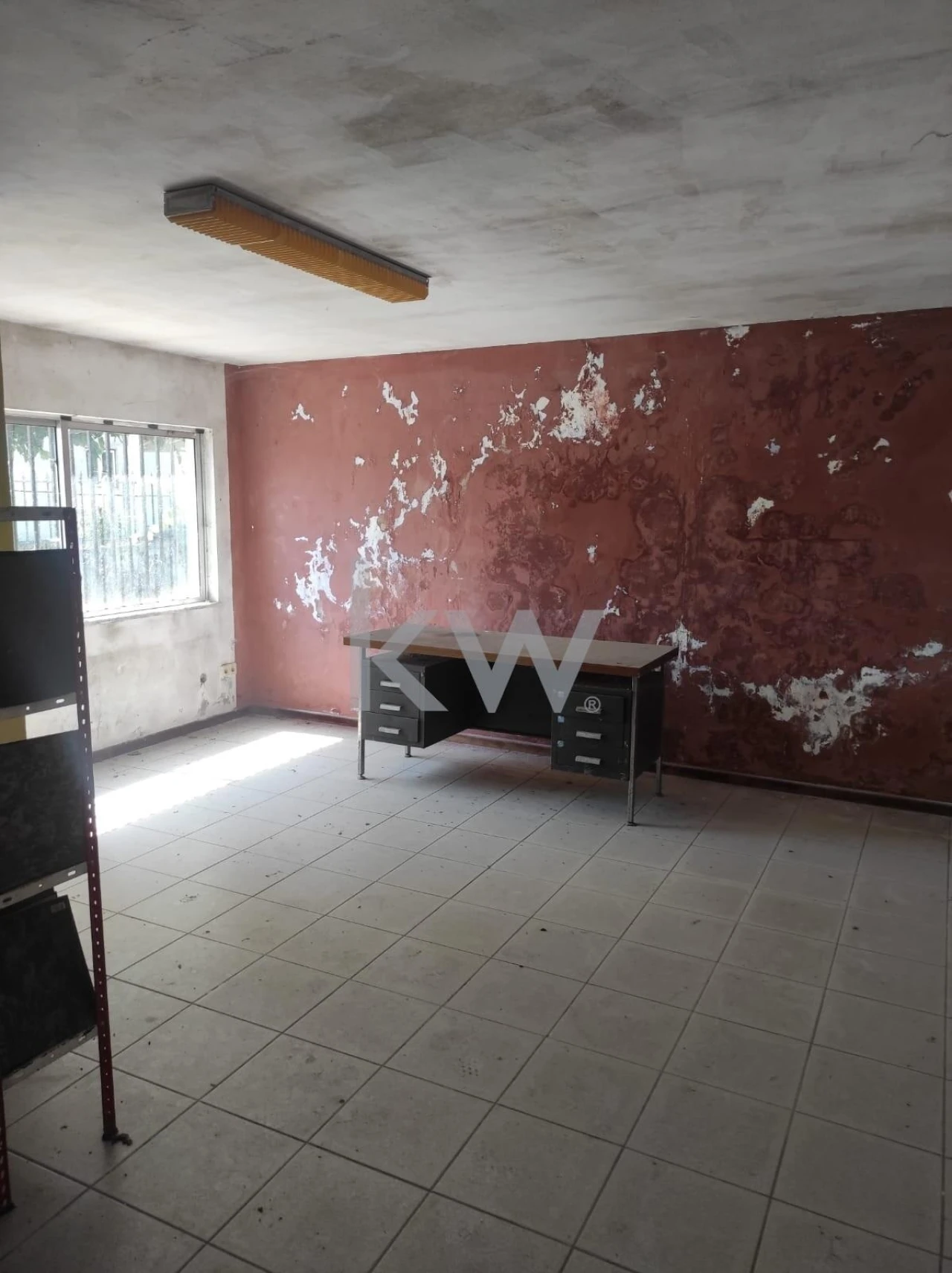 Armazém para Venda em Tocha Foto 10