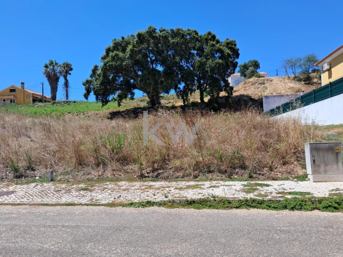 Terreno para Venda em Romeira e Várzea Foto 4