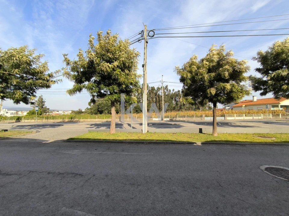 Terreno para Venda em Albergaria-A-Velha e Valmaior Foto 4