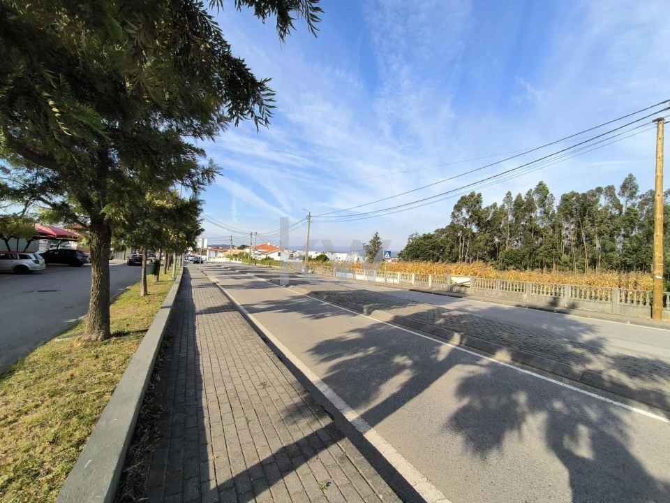 Terreno para Venda em Albergaria-A-Velha e Valmaior Foto 5