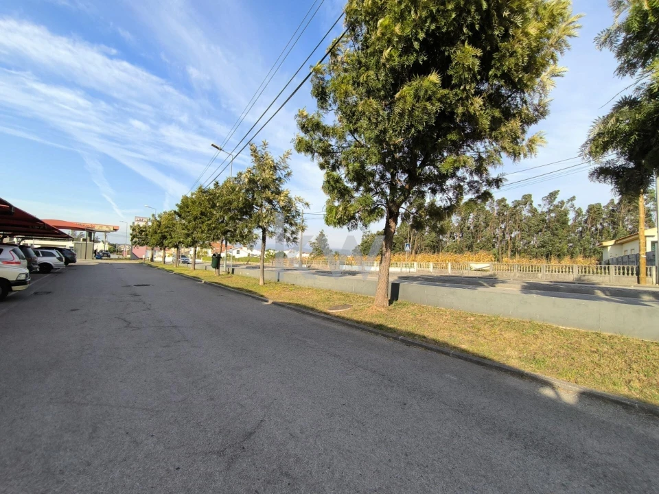 Terreno para Venda em Albergaria-A-Velha e Valmaior Foto 2