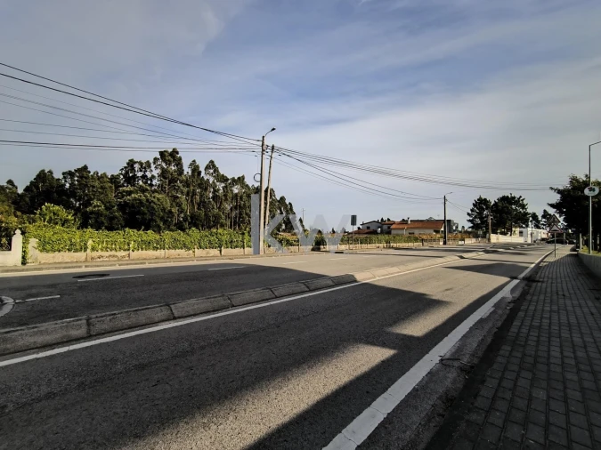 Terreno para Venda em Albergaria-A-Velha e Valmaior Foto 10