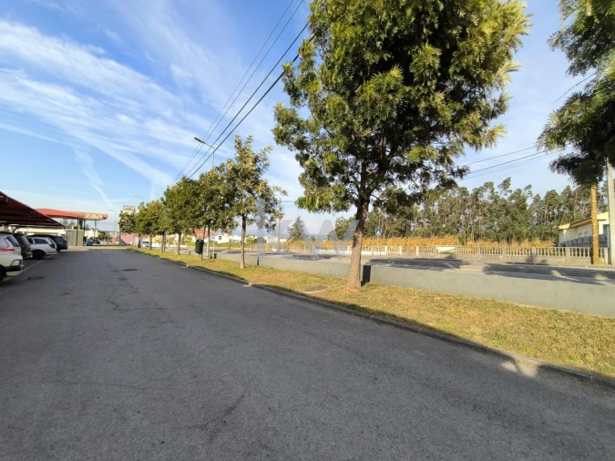 Terreno para Venda em Albergaria-A-Velha e Valmaior Foto 3