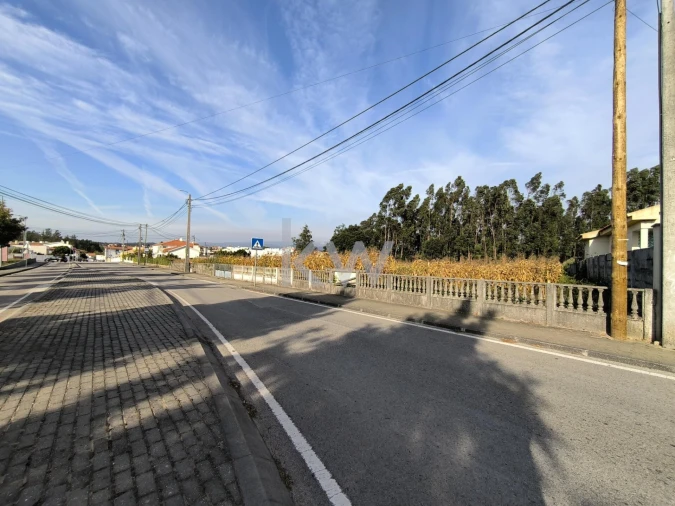 Terreno para Venda em Albergaria-A-Velha e Valmaior Foto 9