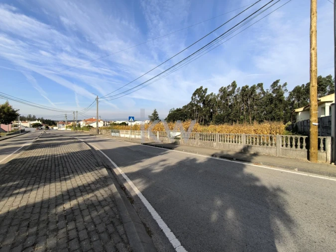 Terreno para Venda em Albergaria-A-Velha e Valmaior Foto 8